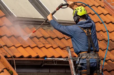 Démoussage et hydrofuge de toiture à Verpillières
